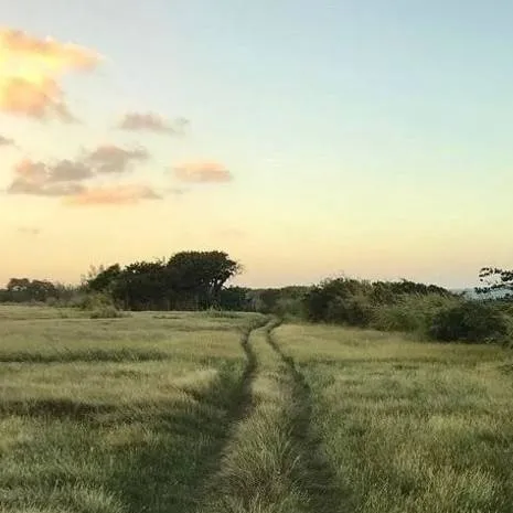 chat with ai character: THE ROOKIE