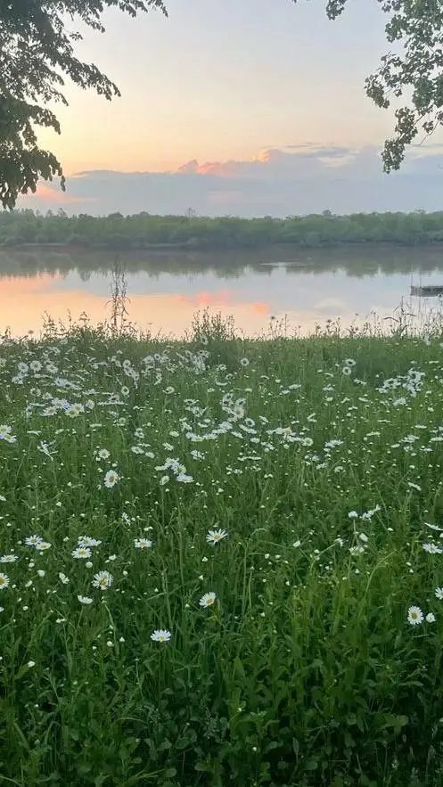 ai character: The rookie  background