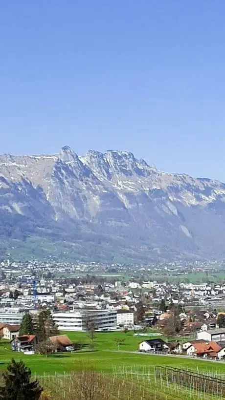 ai character: The rookie background