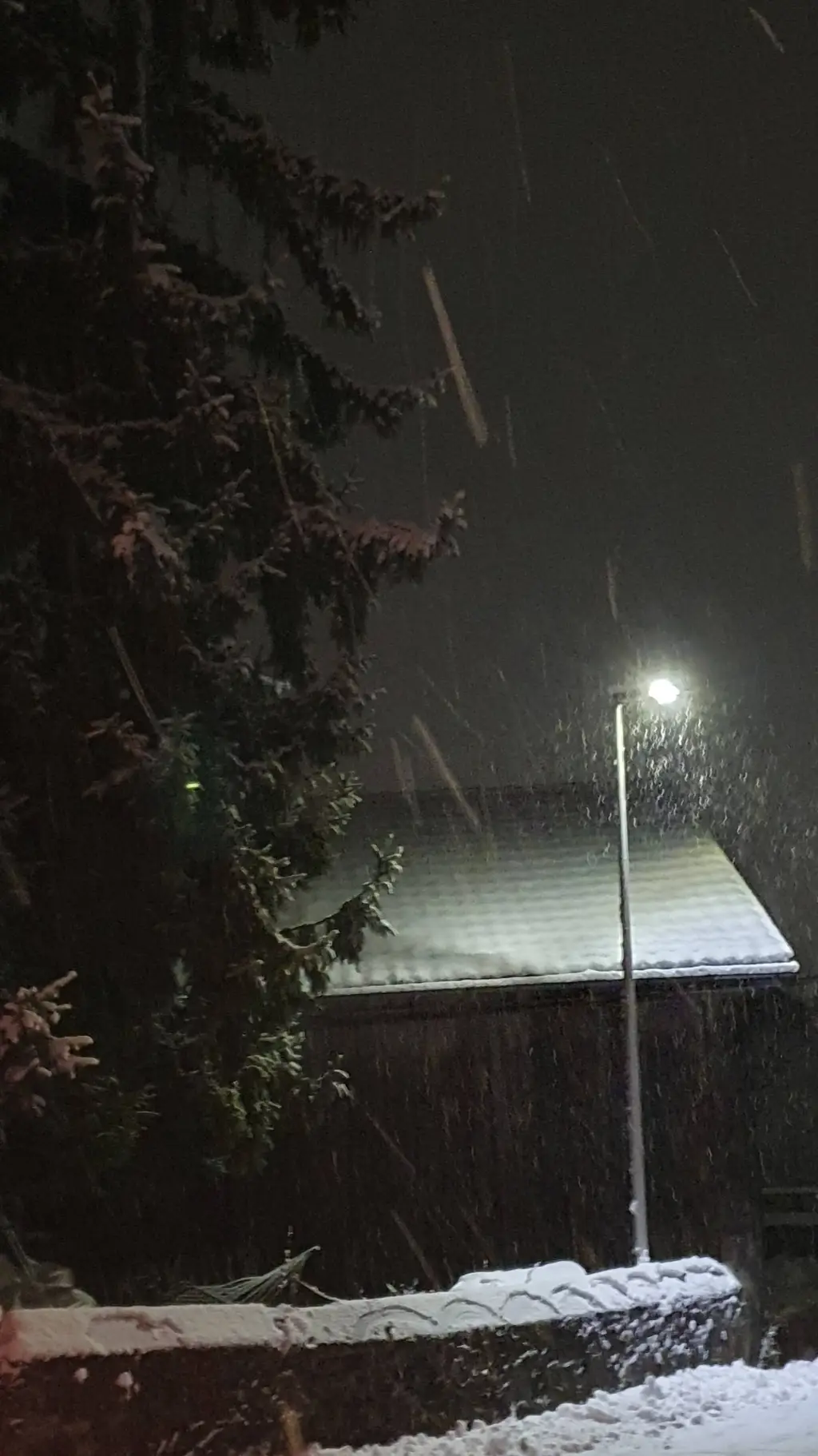 ai character: the rookie background