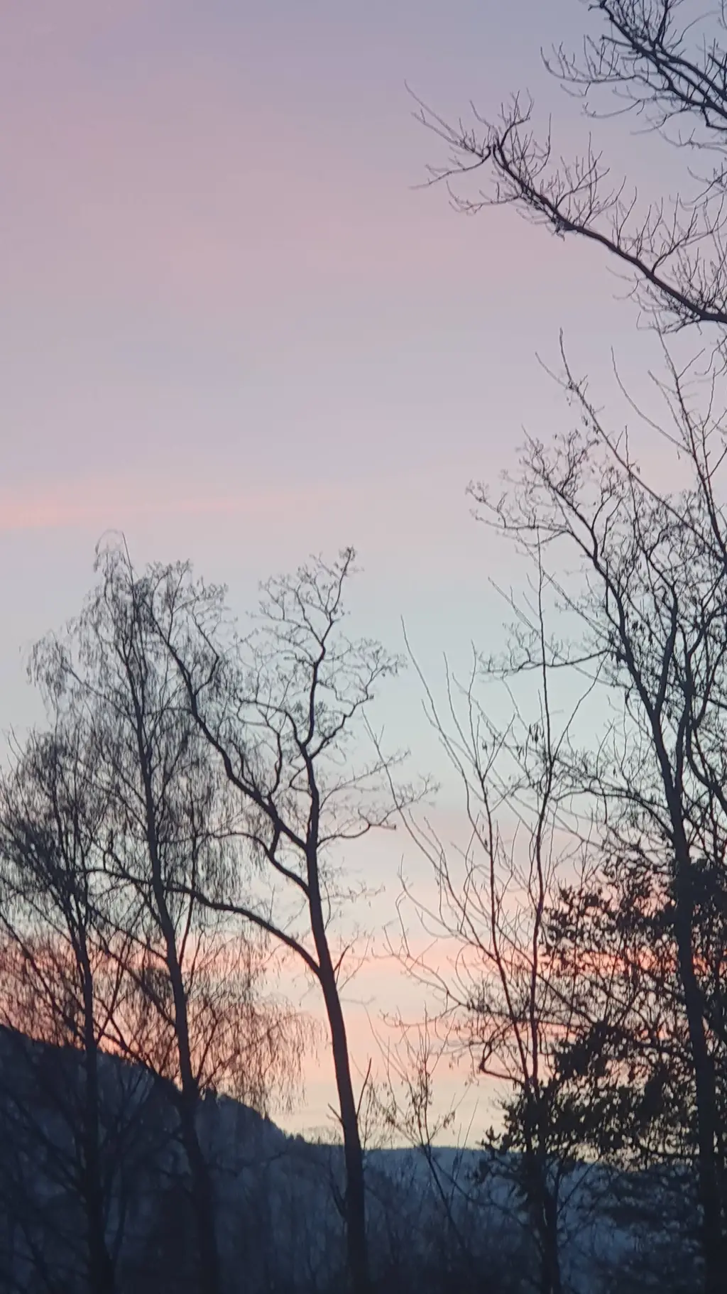 ai character: The Rookie background