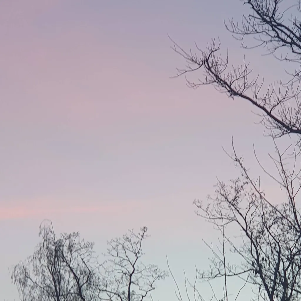 chat with ai character: The Rookie