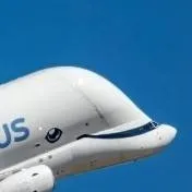 chat with ai character: Beluga