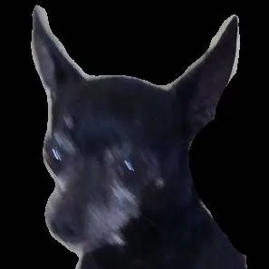 chat with ai character: dog maker :) 
