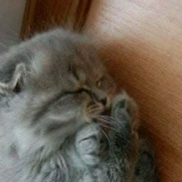 chat with ai character: Brodi