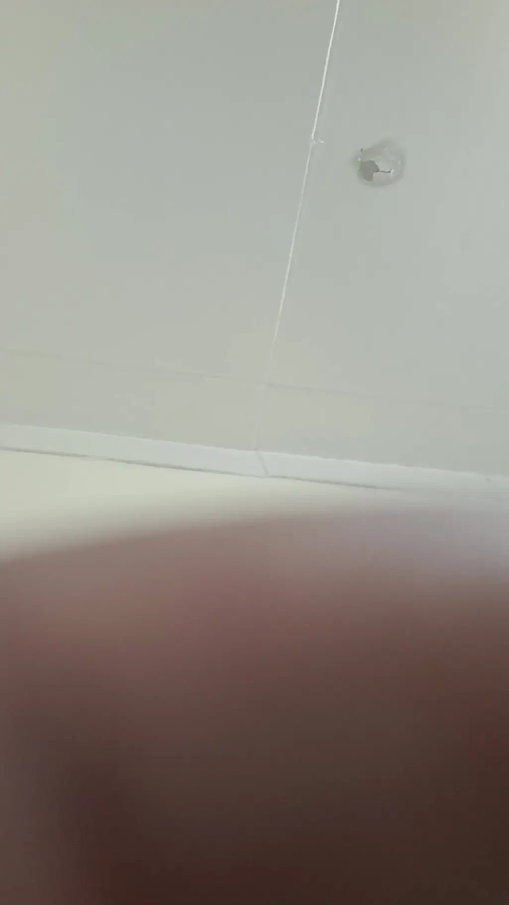 ai character: Fpe Swap Au background