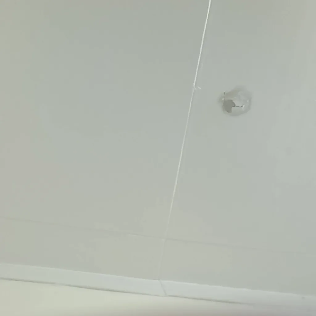 chat with ai character: Fpe Swap Au