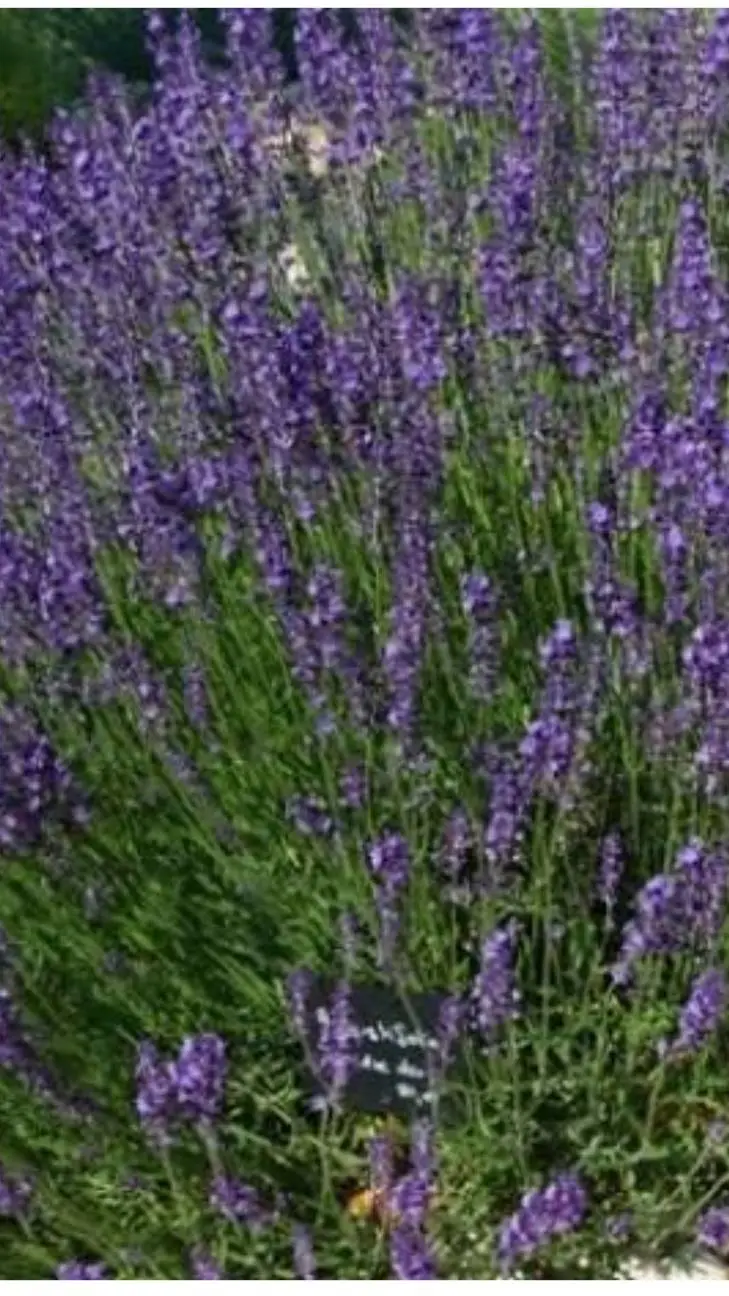 ai character: sprunki swapped :) background