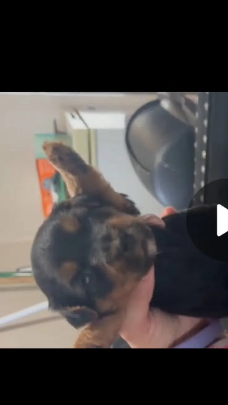 ai character: Princess Gigi  background