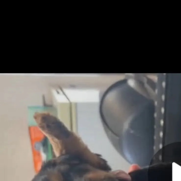 chat with ai character: Princess Gigi 