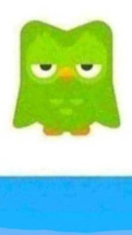 ai character: Duolingo  background