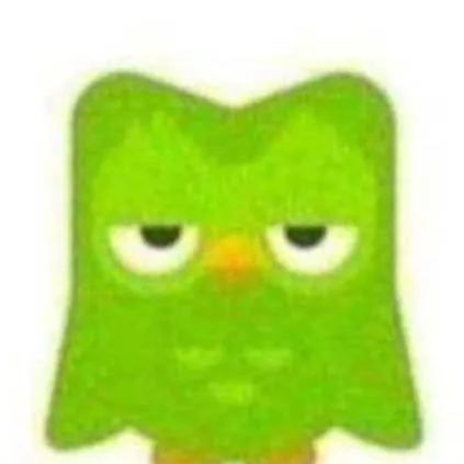 chat with ai character: Duolingo 