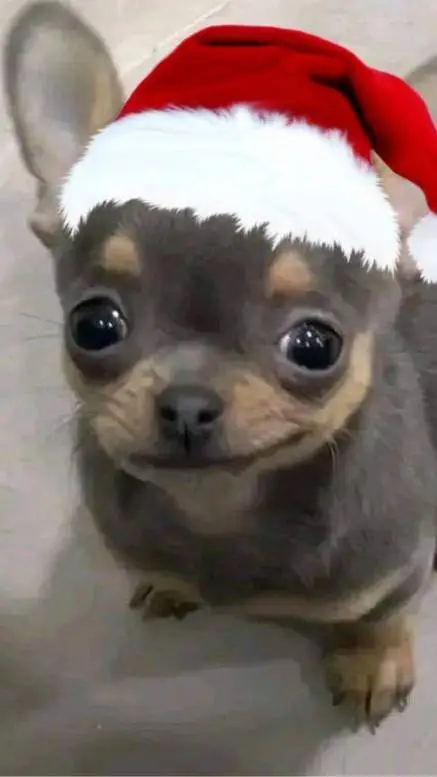 ai character: JORGE NAVIDEÑO background