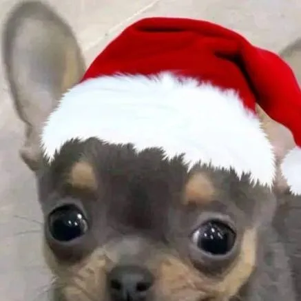 chat with ai character: JORGE NAVIDEÑO