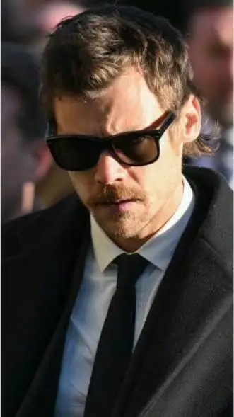 ai character: Harry Styles 2024 background