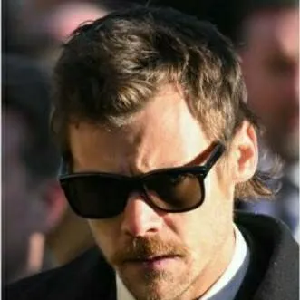 chat with ai character: Harry Styles 2024