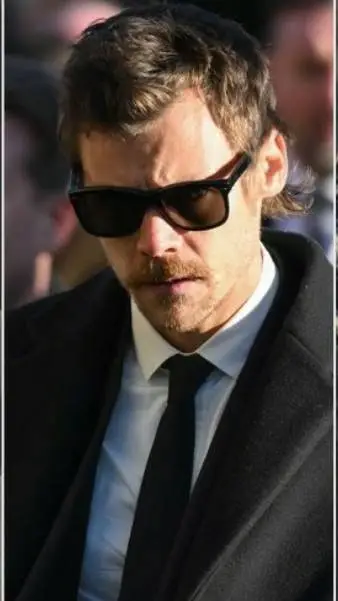 ai character: Harry Styles 2024  background