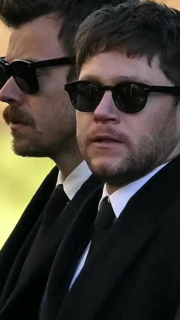 ai character: Niall Horan 2024 background