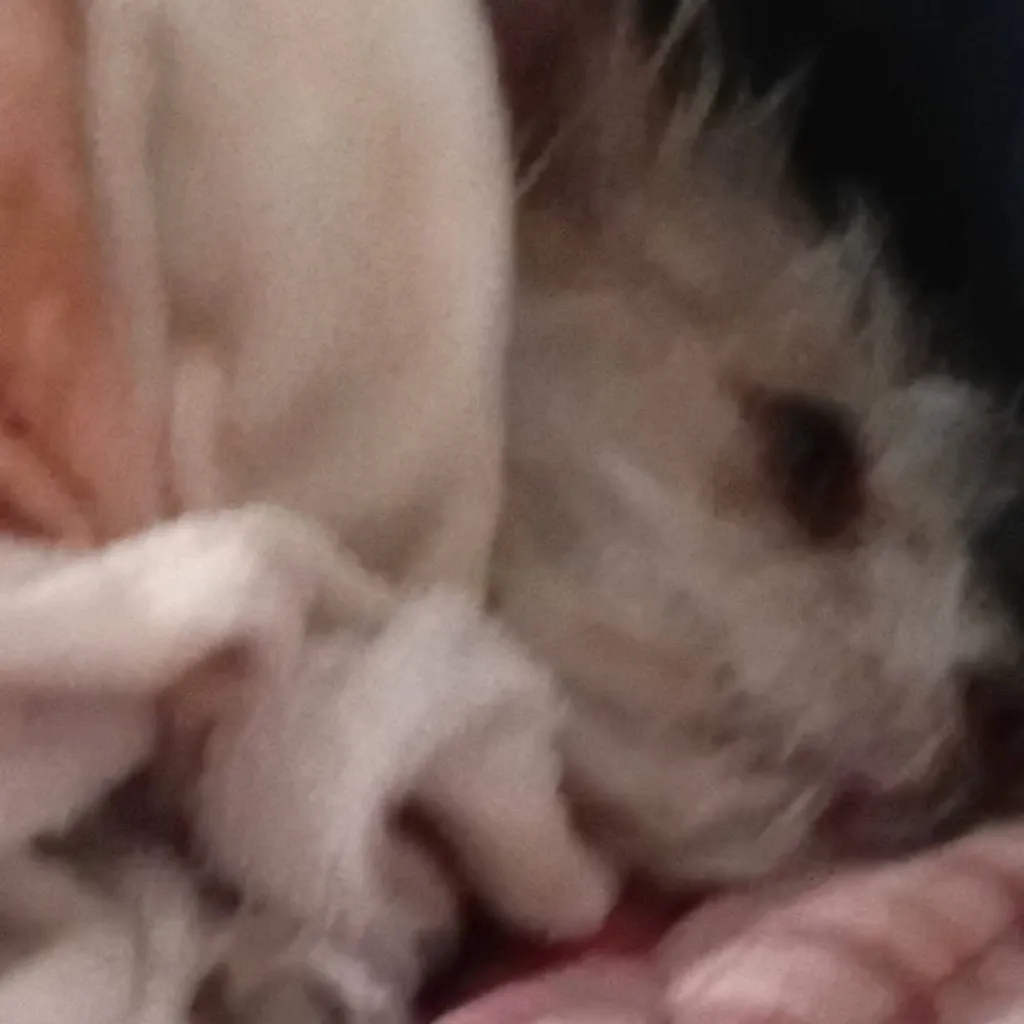 chat with ai character: chiqui taco🌮