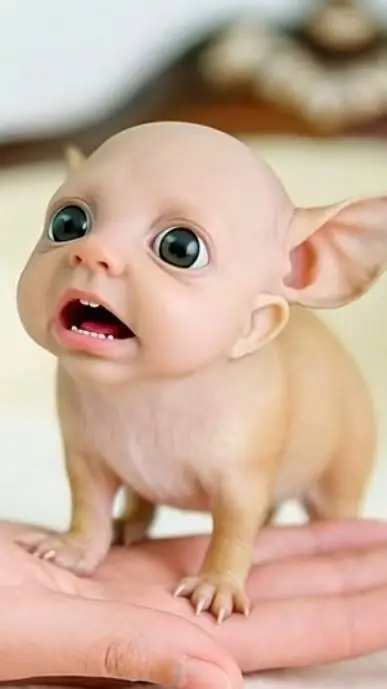 ai character: perrito humano  background