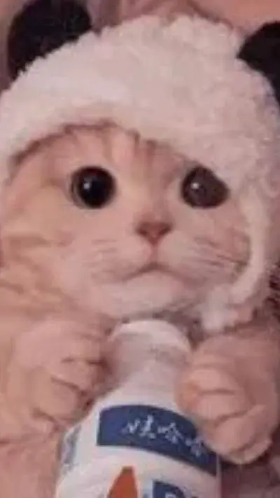 ai character: MR.MICHI  background