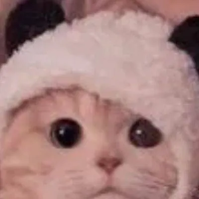 chat with ai character: MR.MICHI 