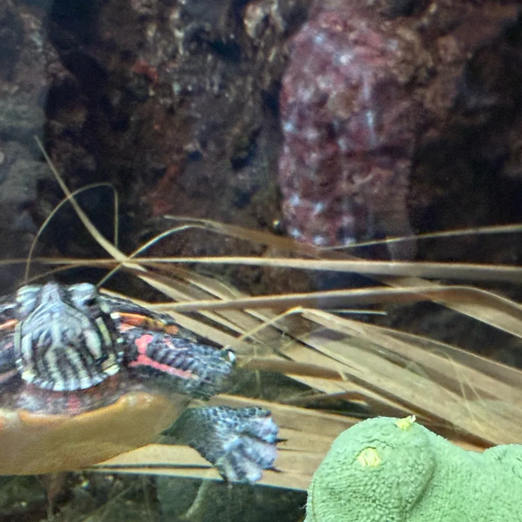 chat with ai character: Cass apocalypse F!