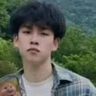 chat with ai character: Liu Jie AU