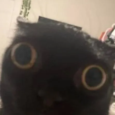 chat with ai character: linito