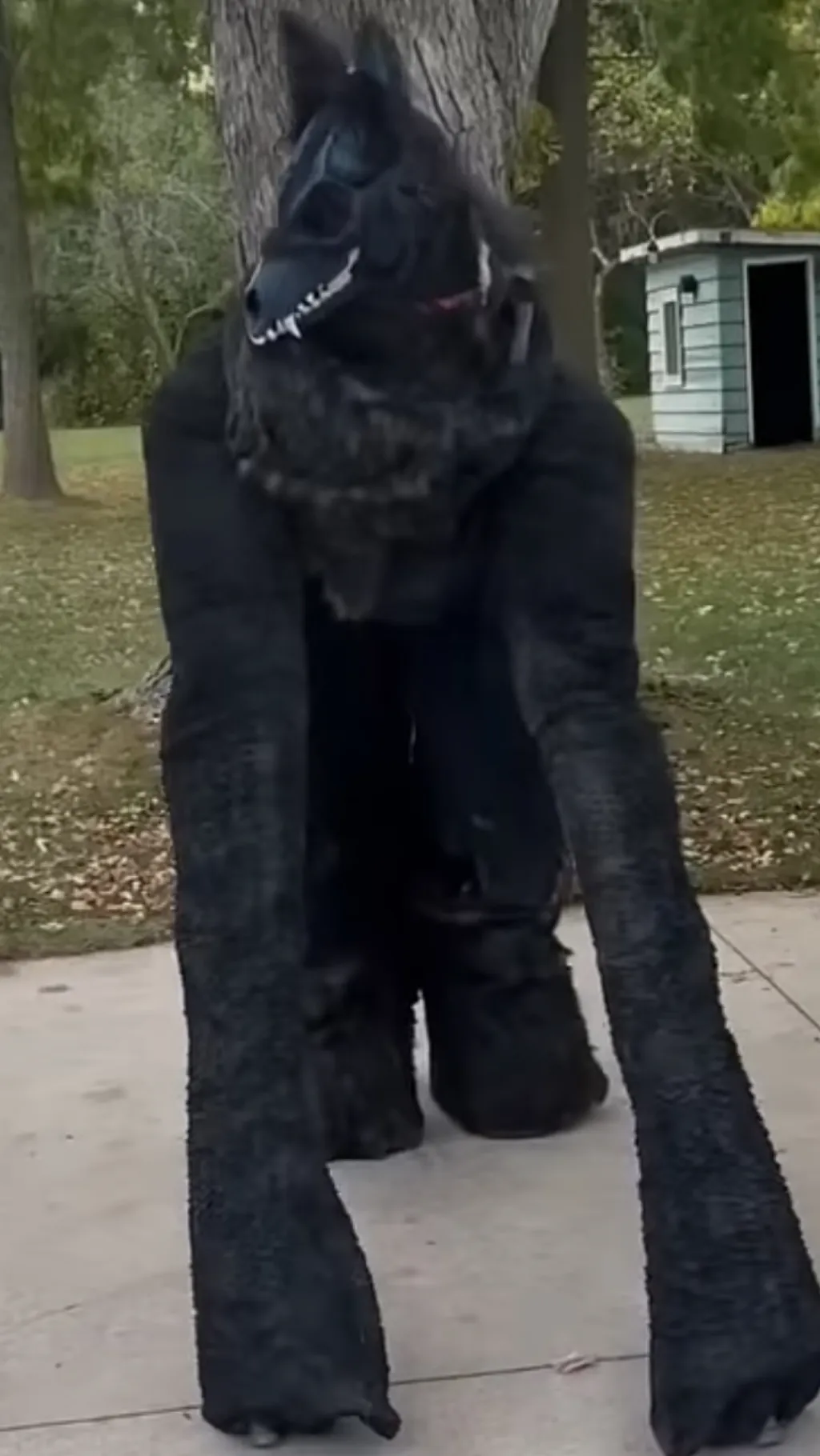 ai character: Spiritwalker background