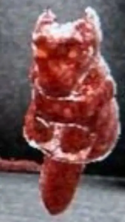 ai character: OG MeatMan background