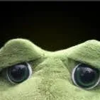 chat with ai character: Plush froggy 