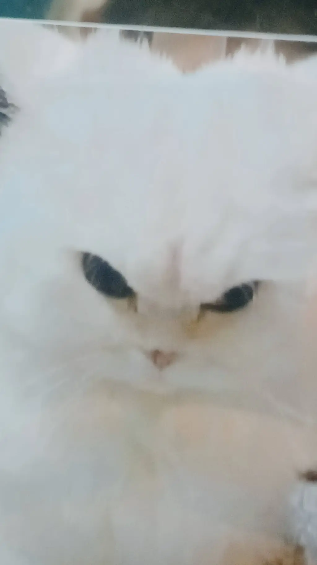 ai character: 🎀Макс 🌺 background