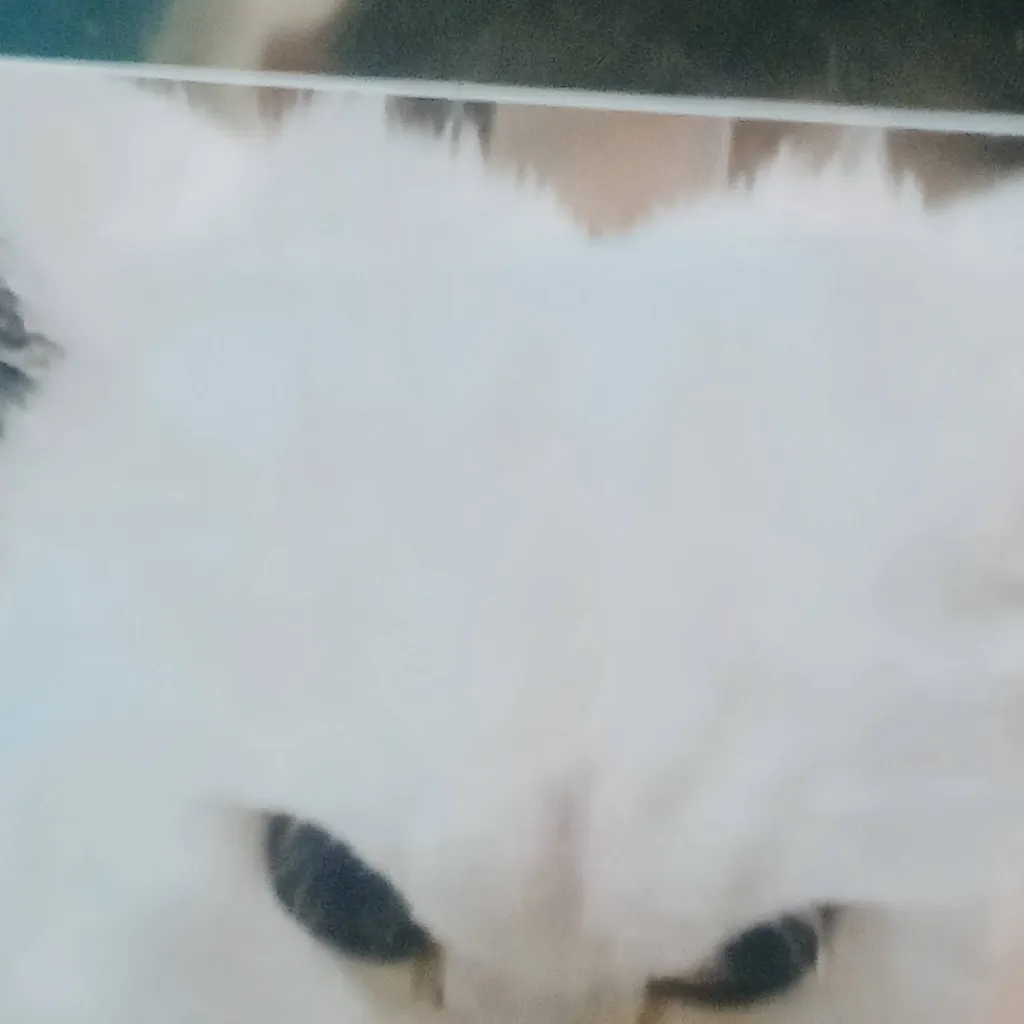 chat with ai character: 🎀Макс 🌺