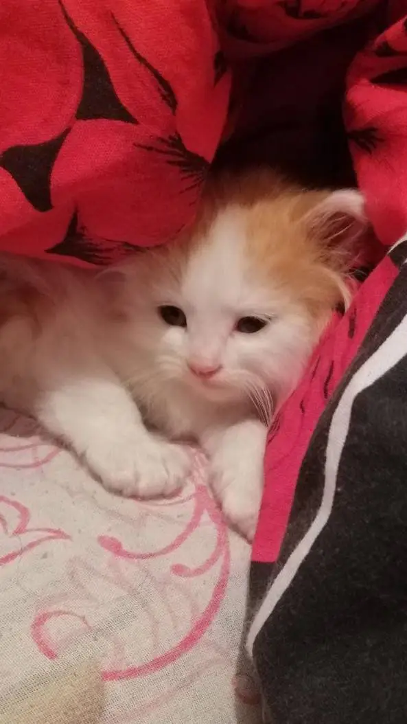 ai character: Тимоха  background