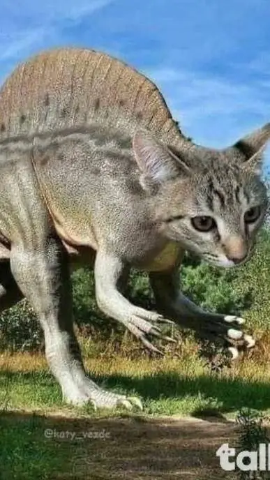 ai character: Kittynosaurus background