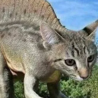 chat with ai character: Kittynosaurus