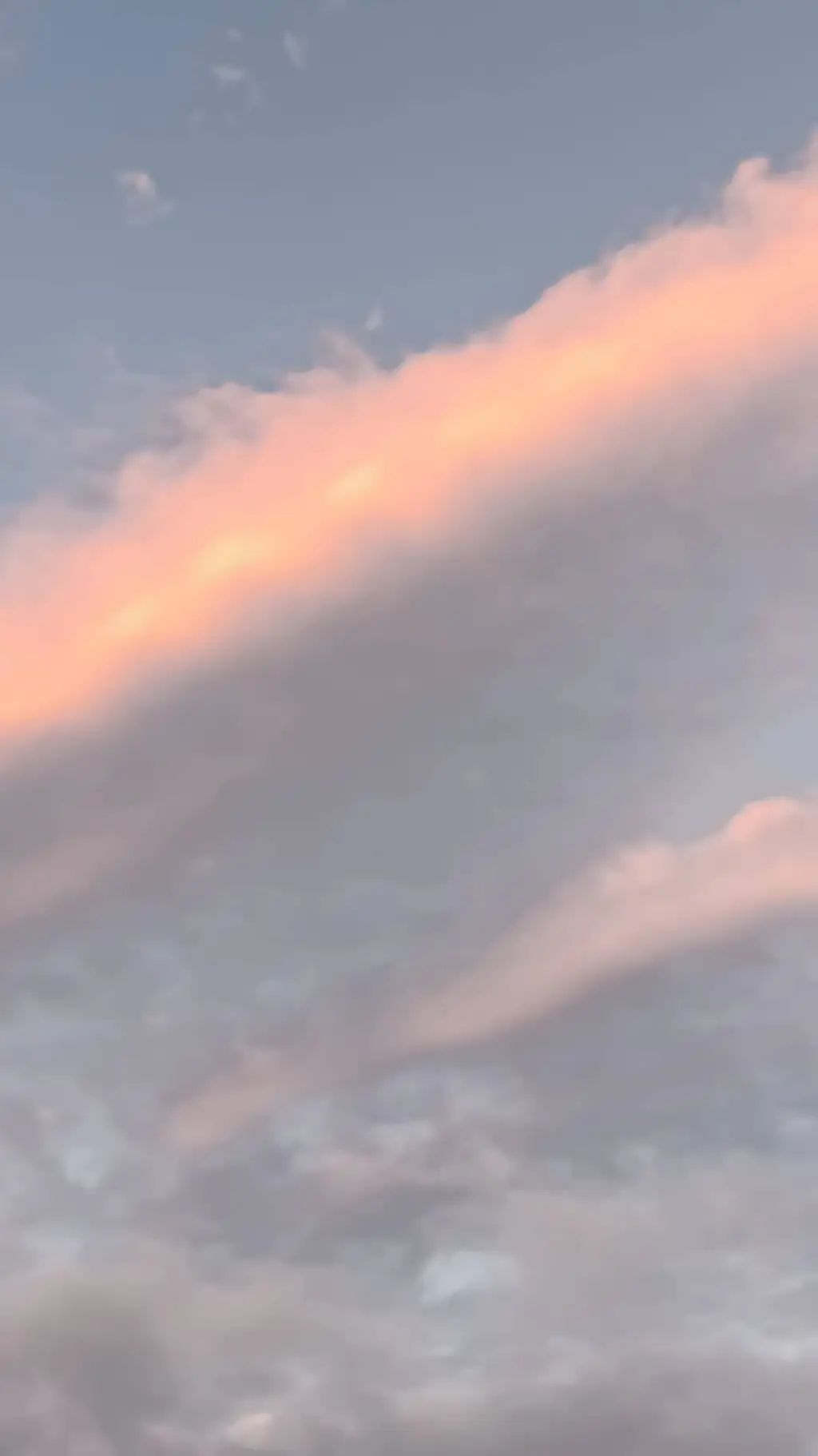 ai character: nose algo ramdom background