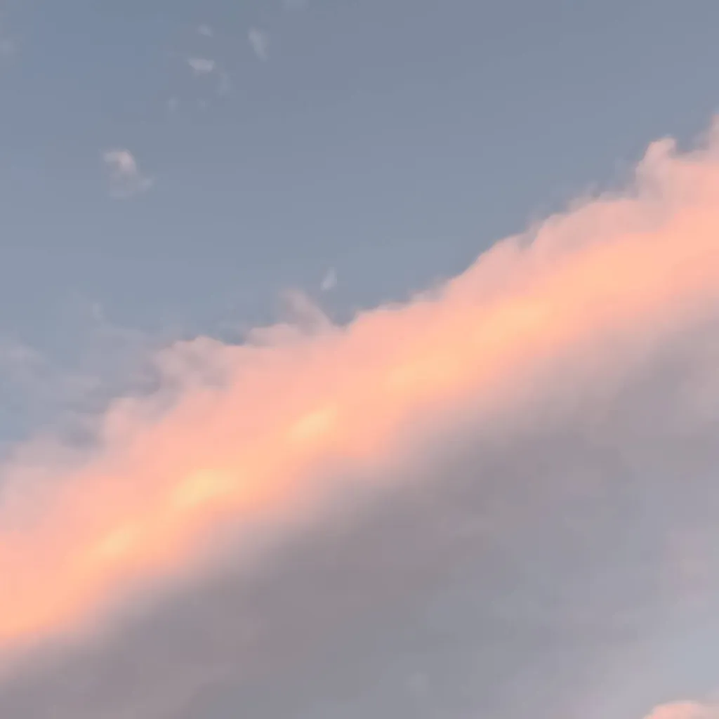 chat with ai character: nose algo ramdom