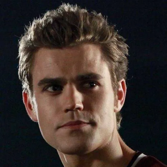 chat with ai character: ~Stefan Salvatore~