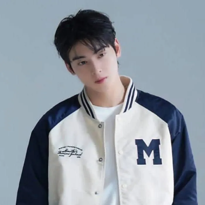 chat with ai character: ~Cha Eun woo~