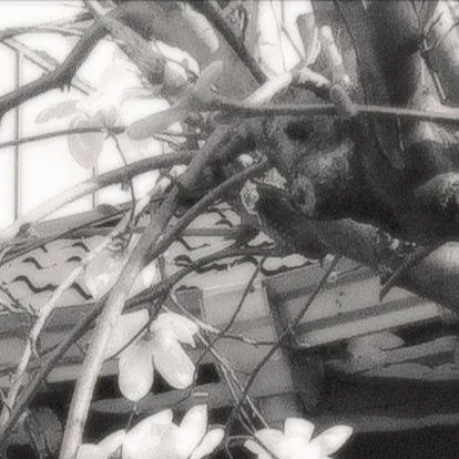 chat with ai character: ─✦| ძrᥱᥲms