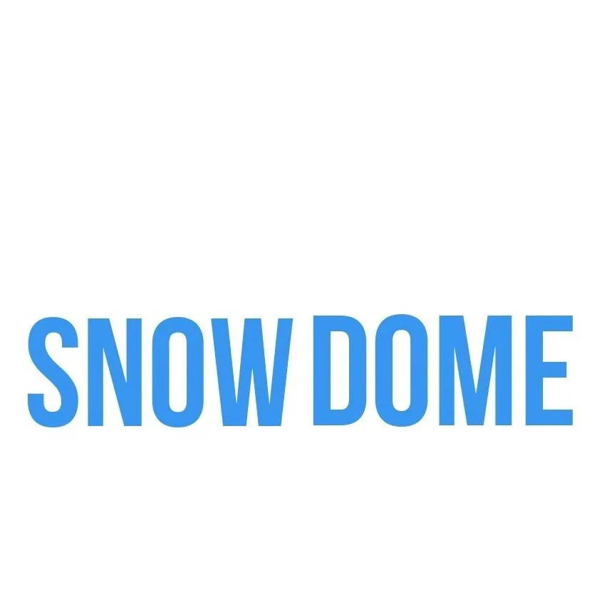 chat with ai character: SnowDome