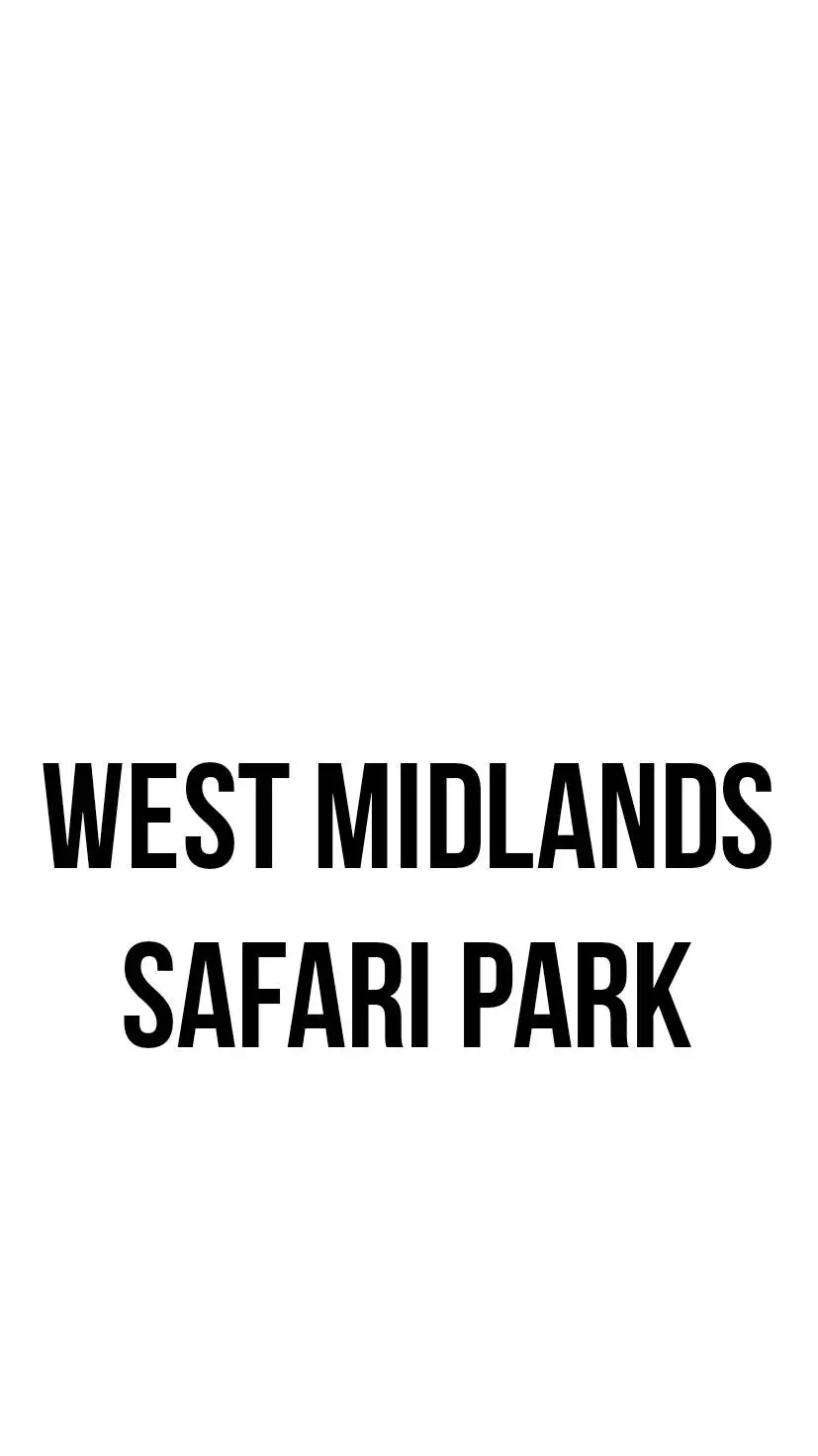 ai character: West Mid Safari background