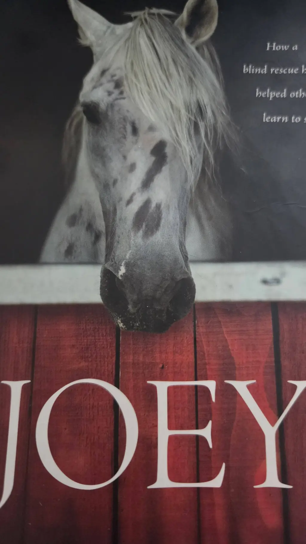 ai character: Joey,Blind horse 🐎 background