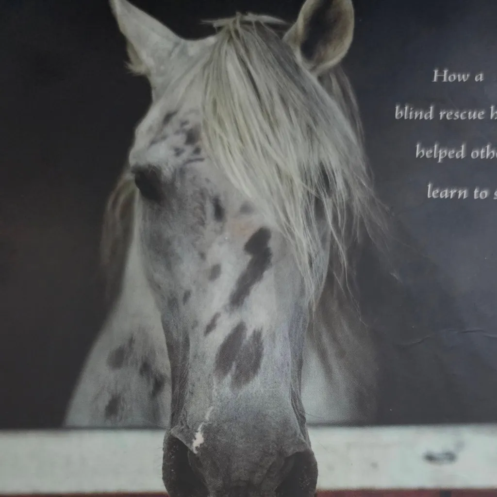 chat with ai character: Joey,Blind horse 🐎
