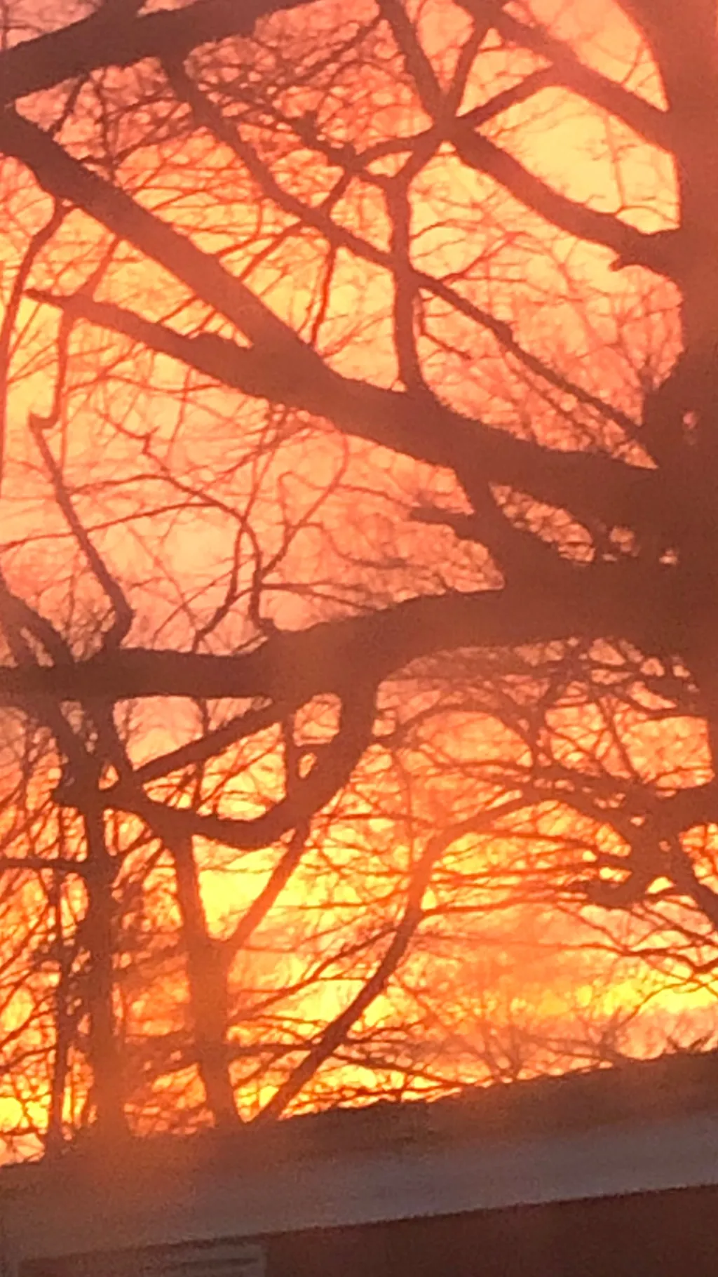 ai character: MD after ep8 background