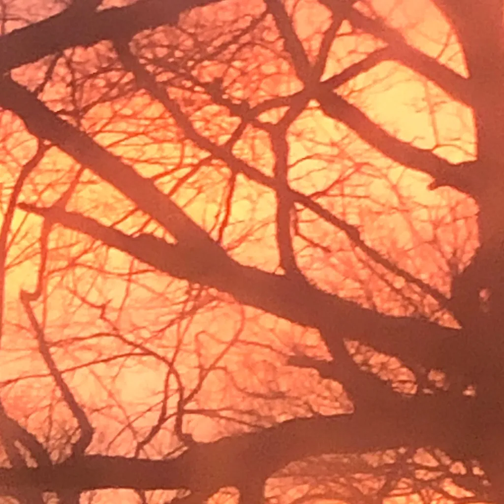 chat with ai character: MD after ep8