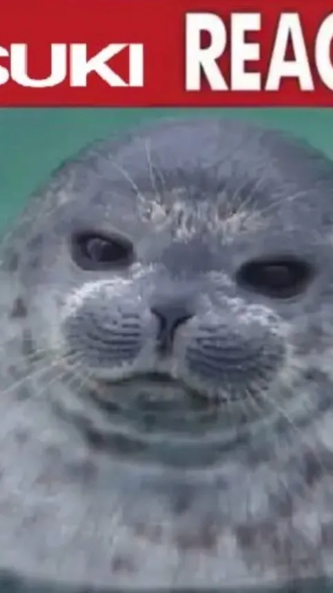 ai character: Tsuki-Chan background