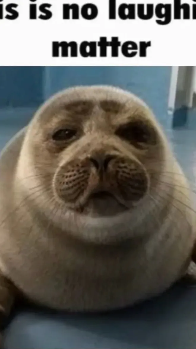 ai character: Niko background